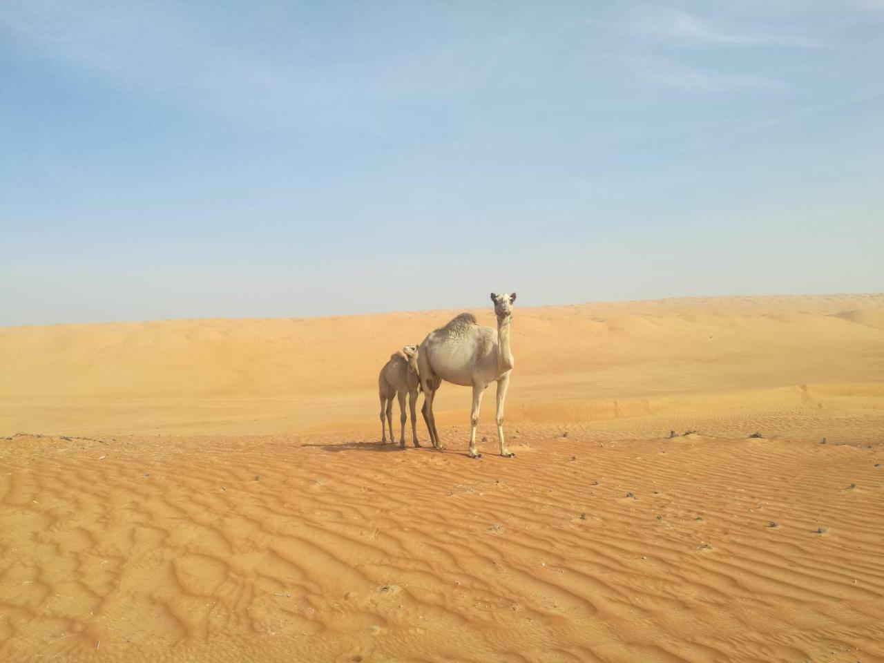 Hamood Desert Private Camp Al Wasil Exterior photo